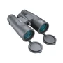 trazeras|KIR43039