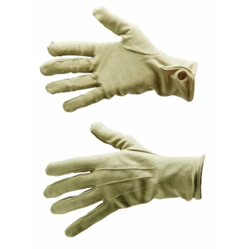 Trazeras|ARM01446