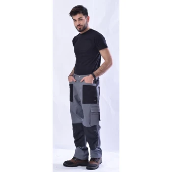 Trazeras|ERG38580