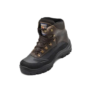 Trazeras|GRS06490