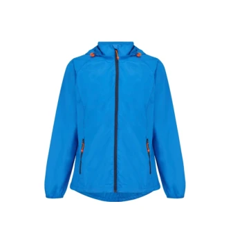 Trazeras|TD-MIAO2 RO