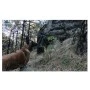 Ισοθερμική Κουβέρτα Jungle Blanket XL (Olive) της Snugpak TSO66613 trazeras|TSO66113