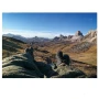 trazeras|SRS66335