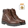trazeras|AER45520