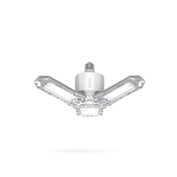 Trazeras|NEB-OTH-0001-G