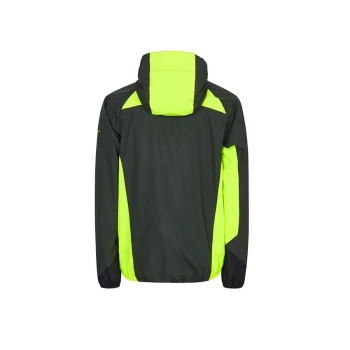 Trazeras|GOR85300