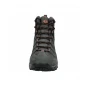 trazeras|GOR85566