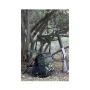 trazeras|GOR85607
