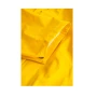 trazeras|LYN86168