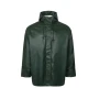 trazeras|LYN86206