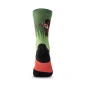 trazeras|FIV89569