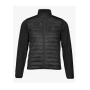 trazeras|LAM71164