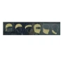 Αντιανεμικό Θερμικό Περιλαίμιο Polar Tube Scarf (Forest Green) της Buff SRS74624 trazeras|SRS74624