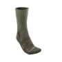 trazeras|SRS71541