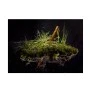 Αλουμινένια Πασαλάκια Σκηνής 4 τμχ Tarp Stakes (Green) της Helikon-Tex LIK78106 trazeras|LIK78106