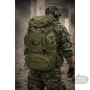 trazeras|ARM66801