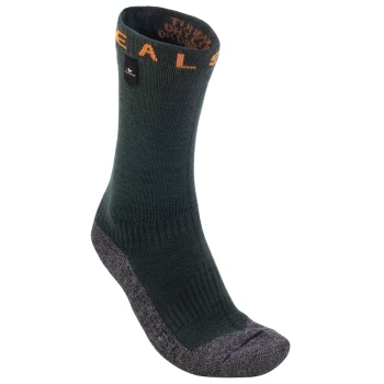 Trazeras|327054.101.603