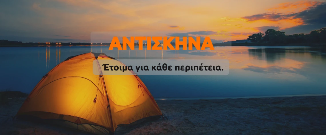skines-adiskina
