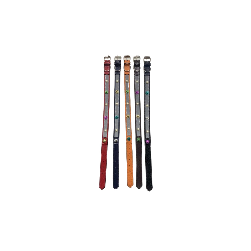 Κολάρο Σκύλου 1.5x40cm (4 Χρώματα) TRD82703 trazeras|TRD82703