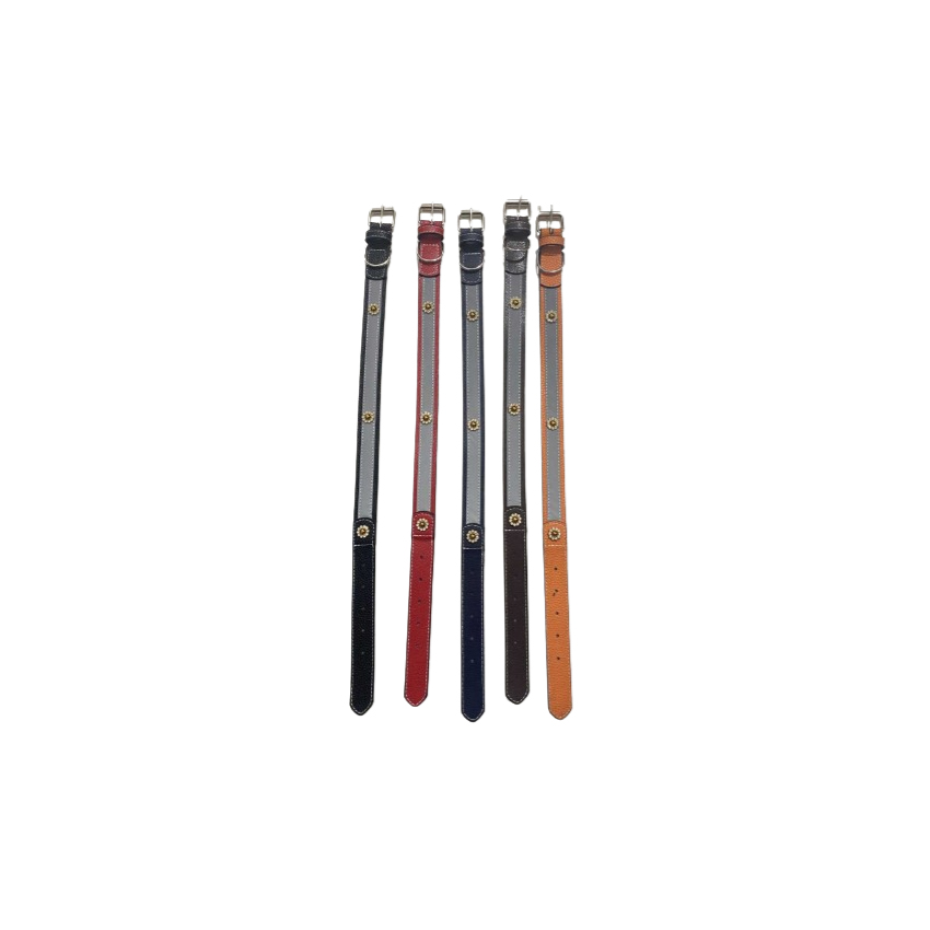 Κολάρο Σκύλου 2x46cm (4 Χρώματα) TRD82706 trazeras|TRD82706
