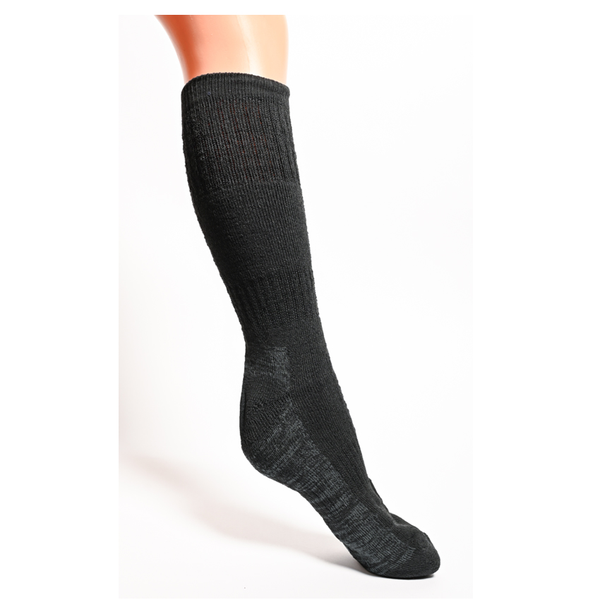 trazeras|SAR56976