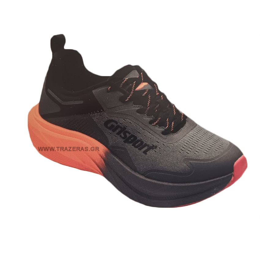 trazeras|GRS87911