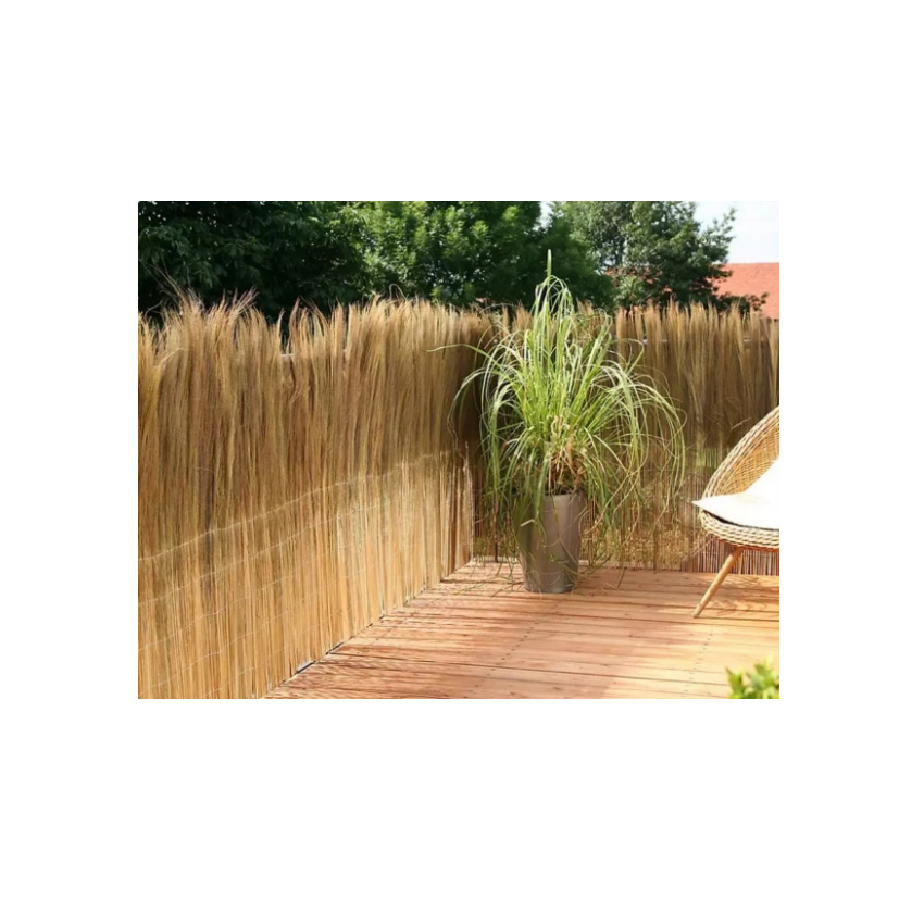 trazeras|ECH88003
