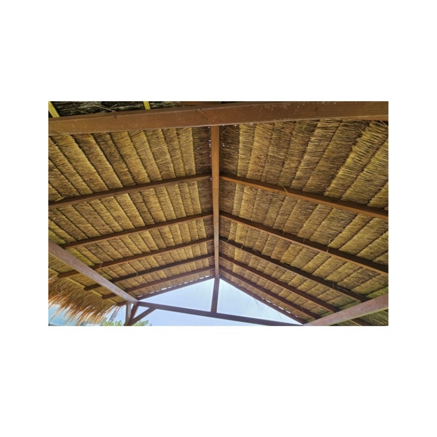 trazeras|ECH88008