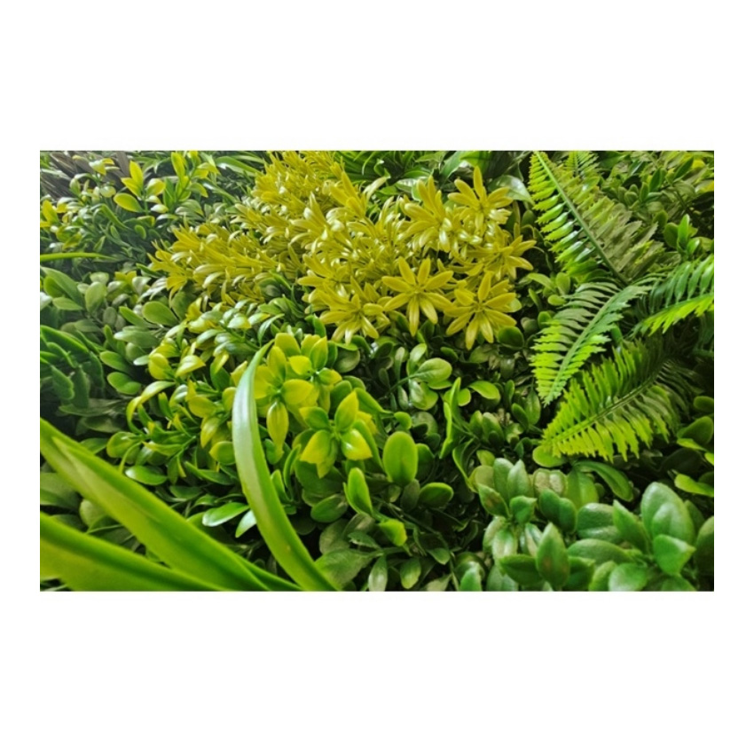 trazeras|ECH88409