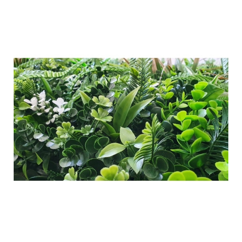 trazeras|ECH88434