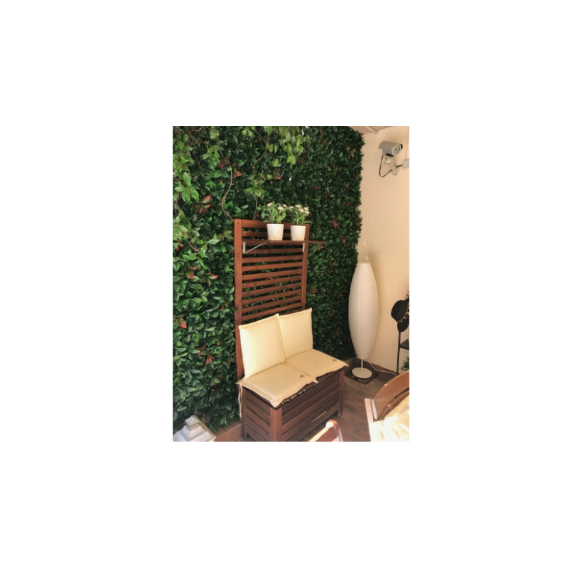 trazeras|ECH88439