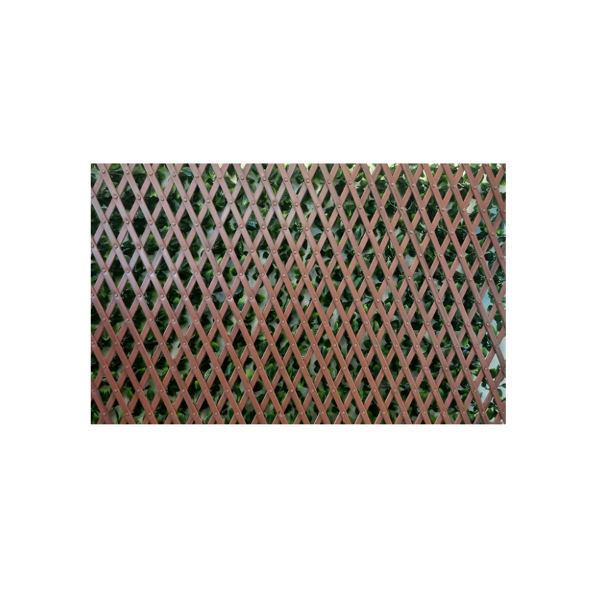 trazeras|ECH88443