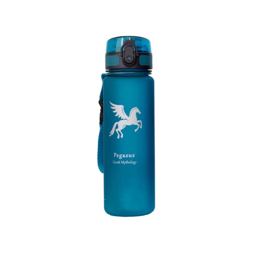 Παγούρι Pegasus 500ml (4 Χρώματα) της Alpin Pro KREO50307 trazeras|REO50307