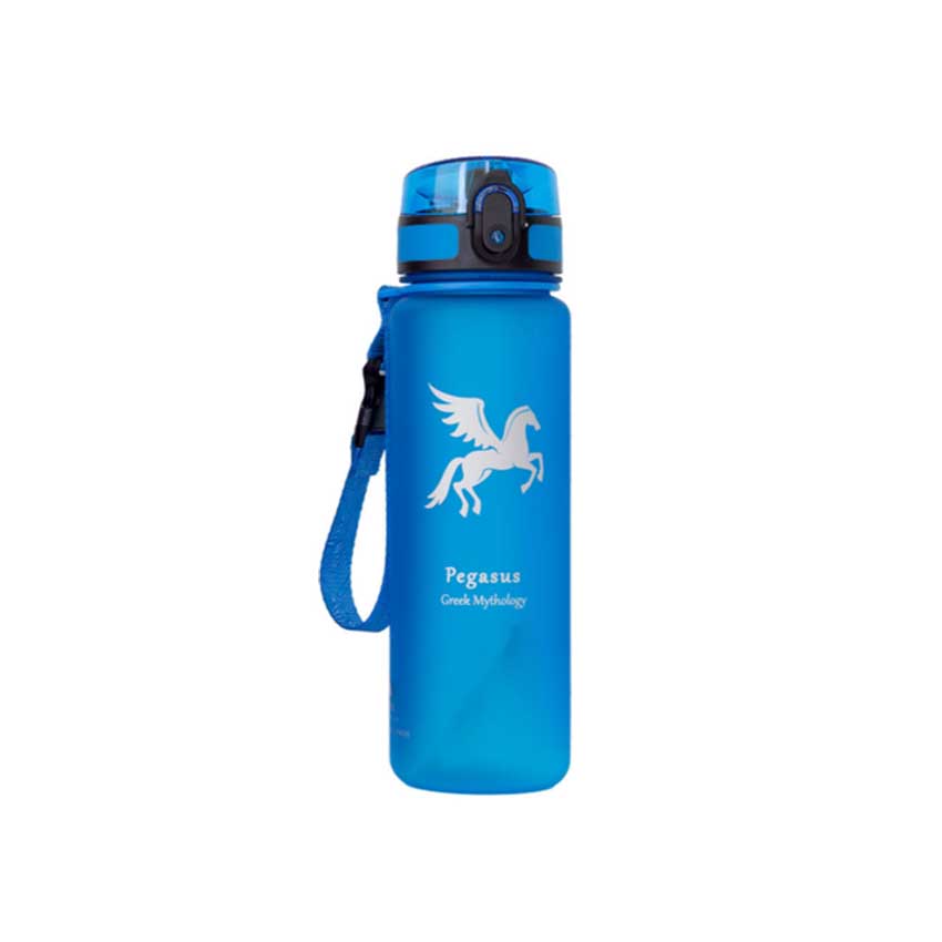 Παγούρι Pegasus 500ml (4 Χρώματα) της Alpin Pro KREO50307 trazeras|REO50307