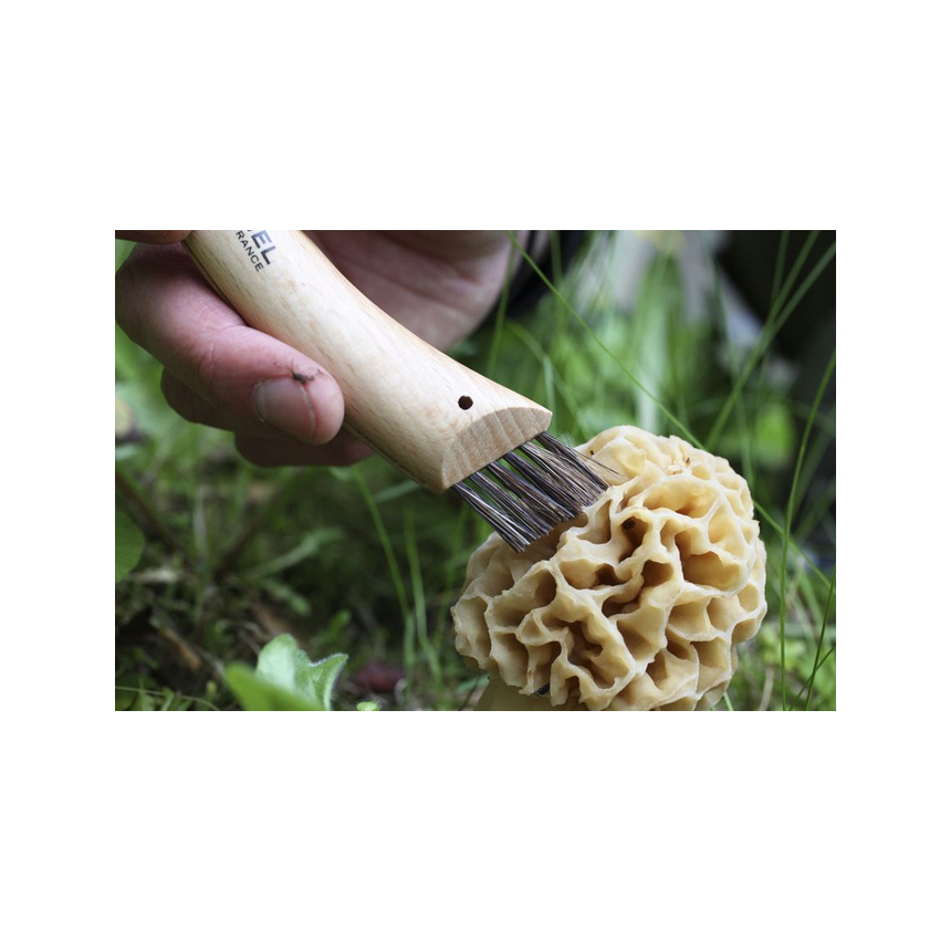 Σουγιάς No.8 Champignon για Μανιτάρια της Opinel VRA46756 trazeras|VRA46756