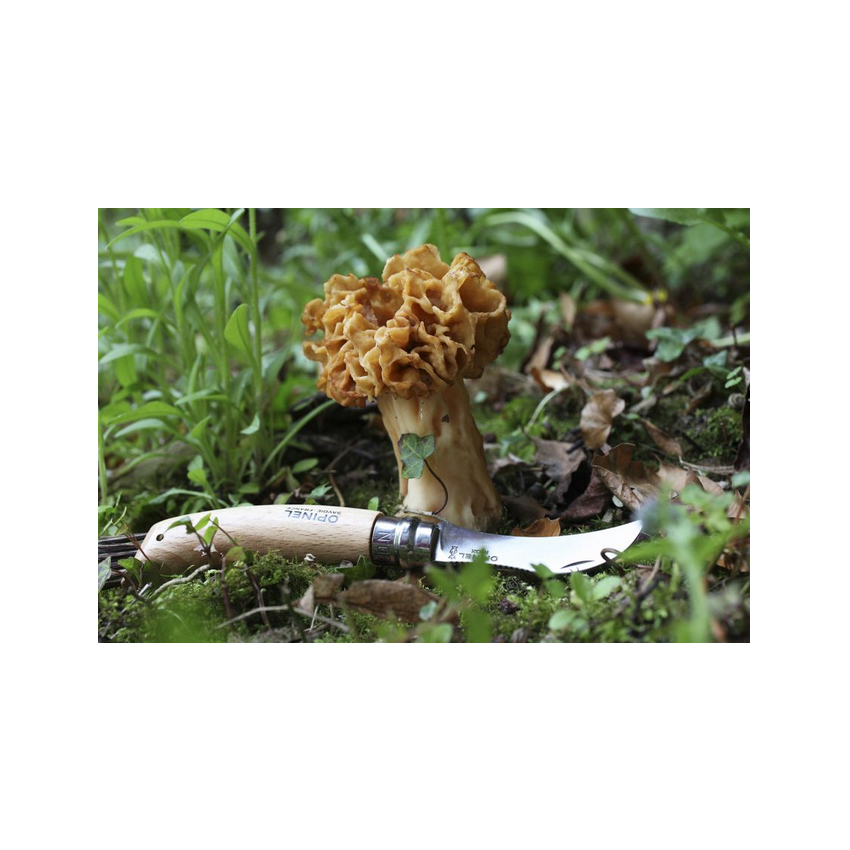 Σουγιάς No.8 Champignon για Μανιτάρια της Opinel VRA46756 trazeras|VRA46756