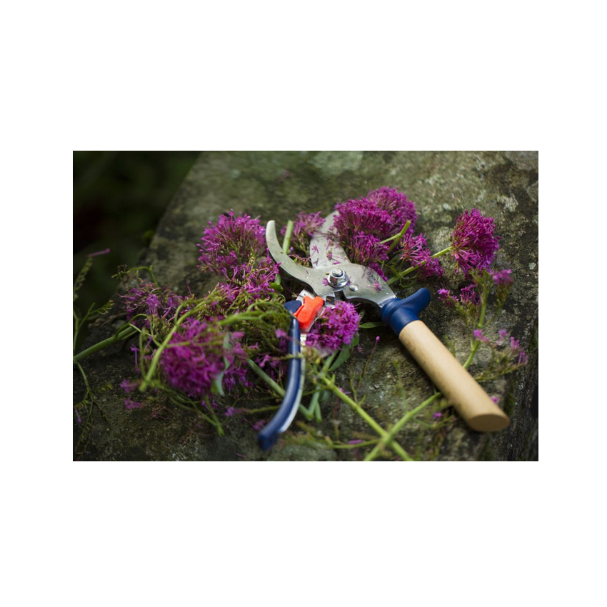 Ψαλίδι Κλαδέματος (2 Χρώματα) της Opinel VRA21405 trazeras|VRA21405