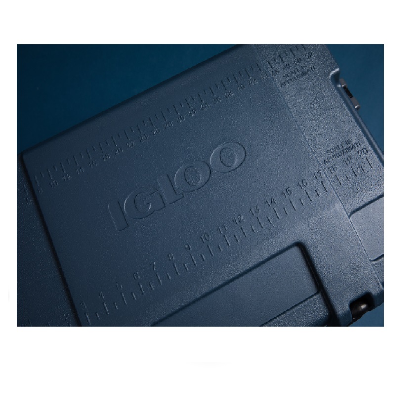 Ψυγείο BMX 52 (4 Χρώματα) της Igloo UNI67151 trazeras|UNI67151