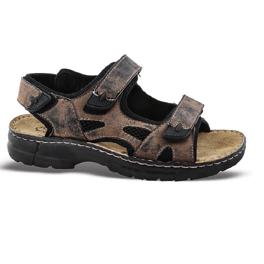 trazeras|ZAK65970