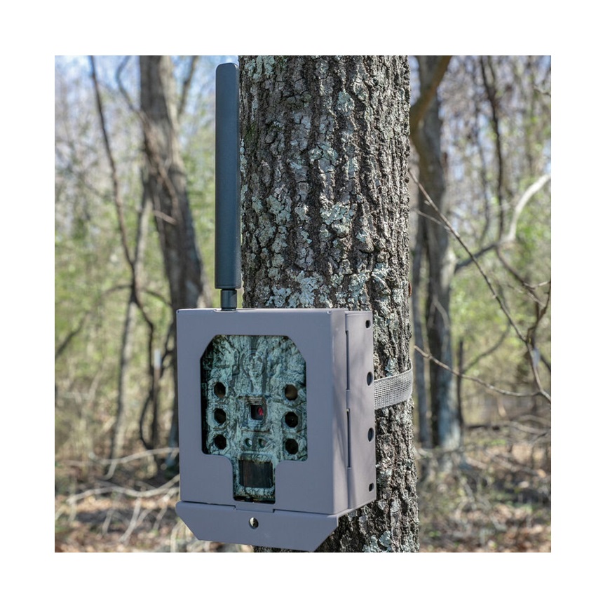 Κουτί Ασφαλείας για Κάμερα Security Box Cam της Bushnell KIR79884 trazeras|KIR79884