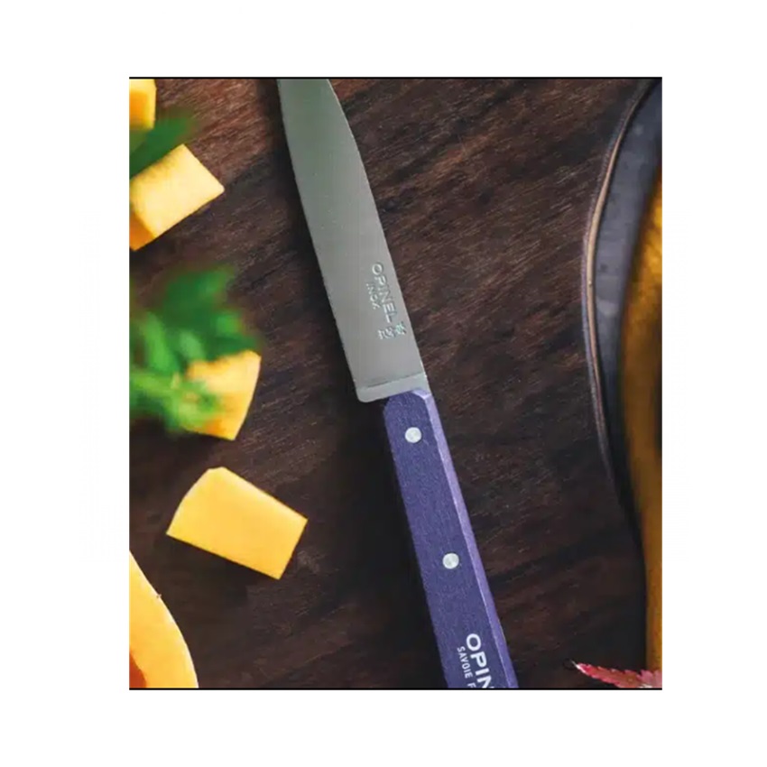 Ανοξείδωτο Μαχαίρι Κουζίνας Οξυά No.112 10cm (5 Χρώματα) της Opinel VRA81973 trazeras|VRA81973