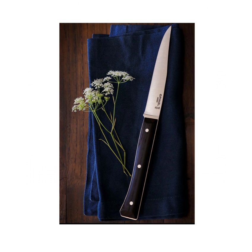 Σετ 4 Ανοξείδωτα Μαχαίρια Κουζίνας Facette Dark Ash της Opinel VRA81986 trazeras|VRA81986