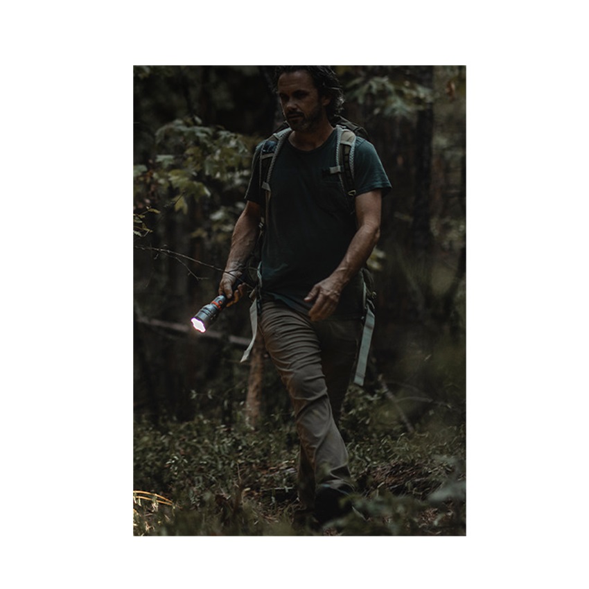 trazeras|NEB84384