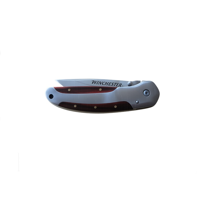 trazeras|GOR85553