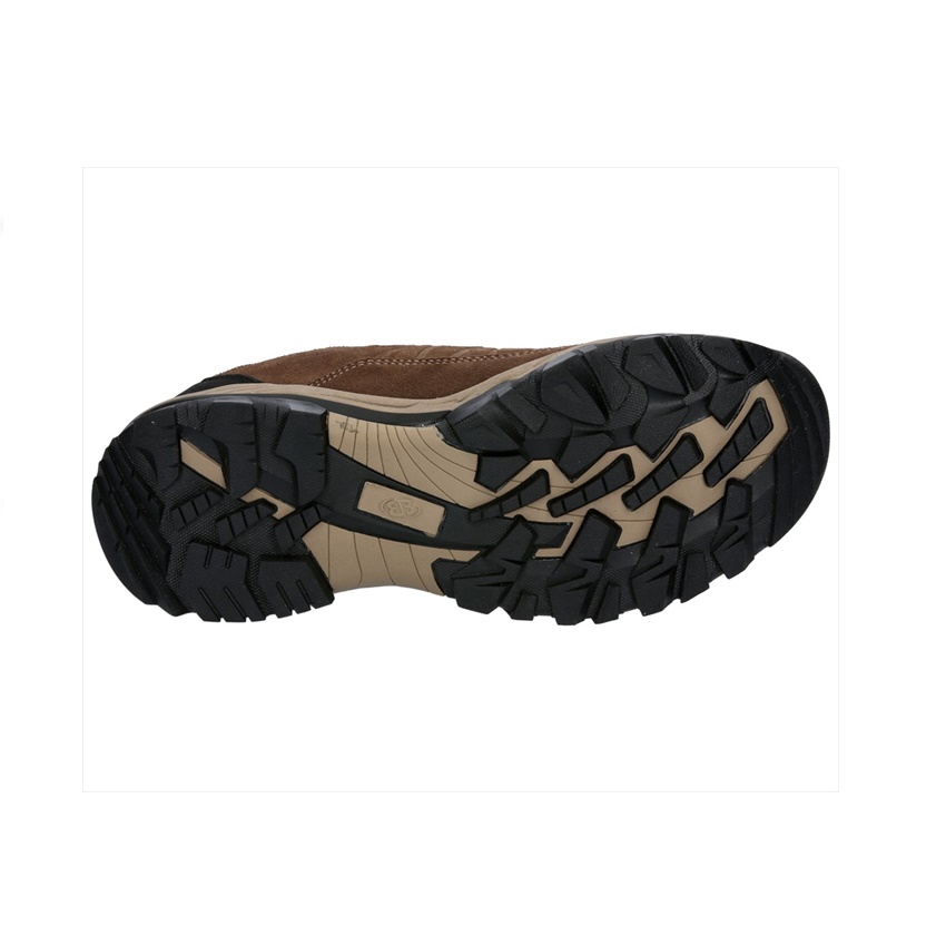 trazeras|GOR85564