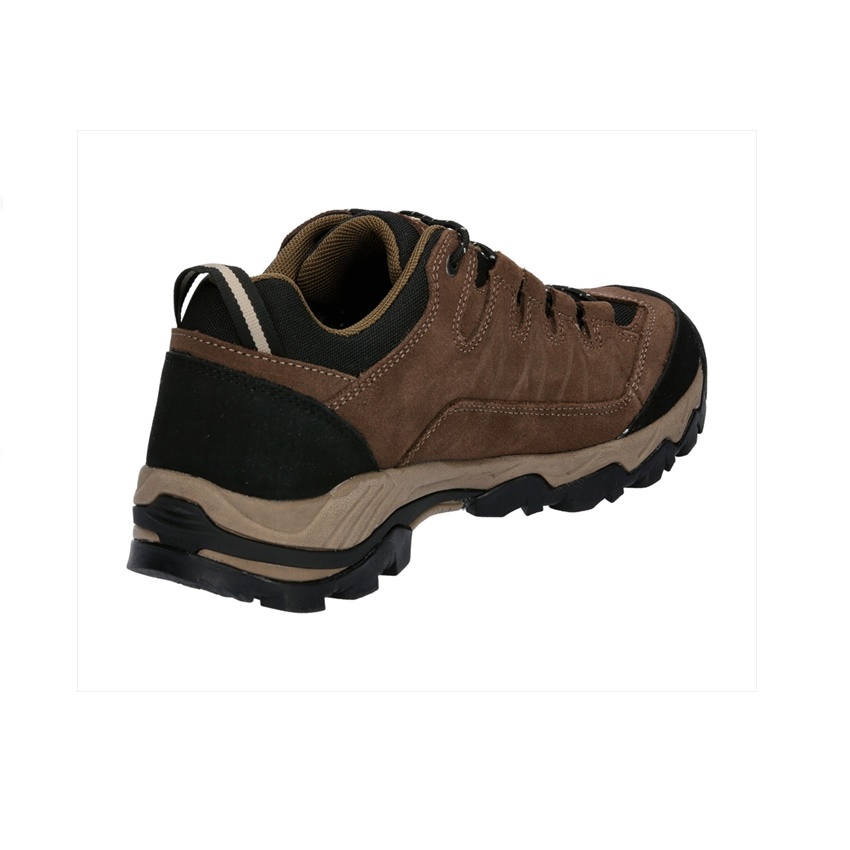 trazeras|GOR85564
