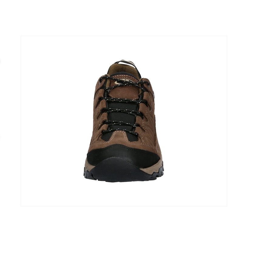 trazeras|GOR85564