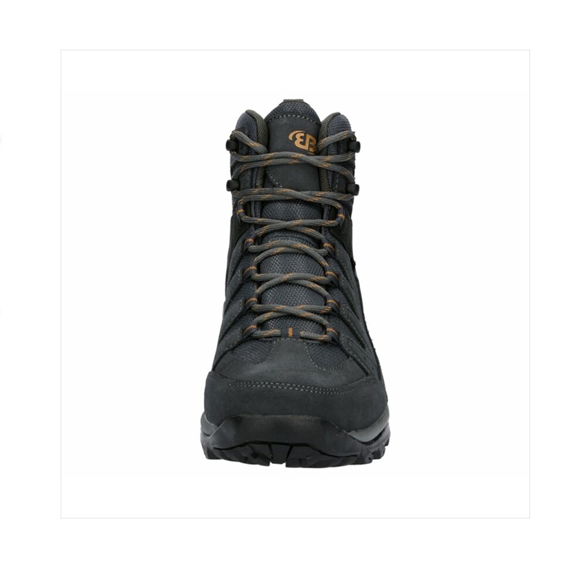 trazeras|GOR85565