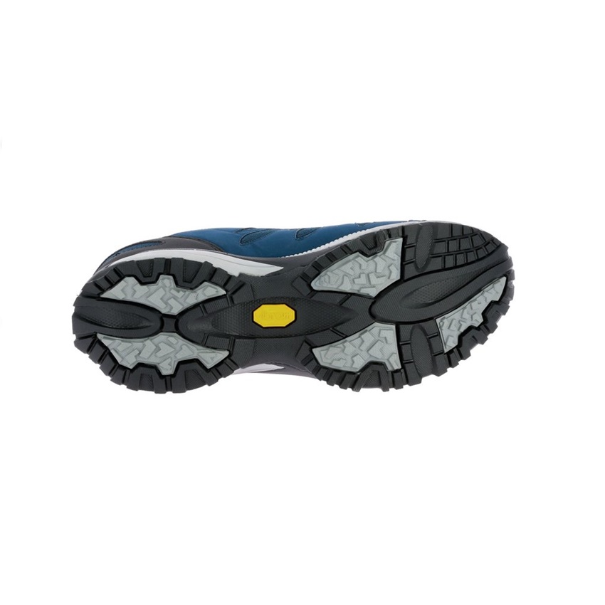 trazeras|GOR85568