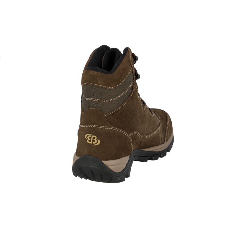 trazeras|GOR85570